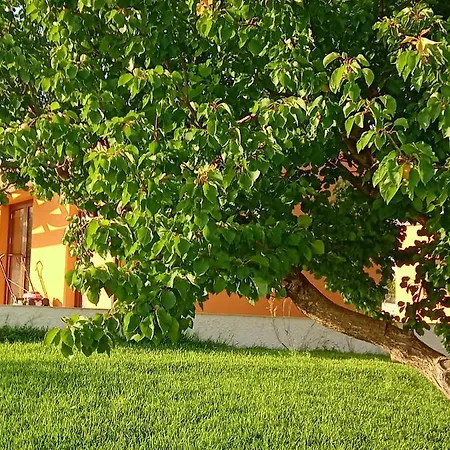 Chalet Il Poggetto - Le Marzamemi