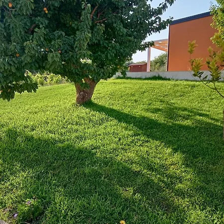 Il Poggetto - Le *