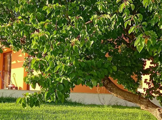 Alpstuga Il Poggetto - Le Marzamemi
